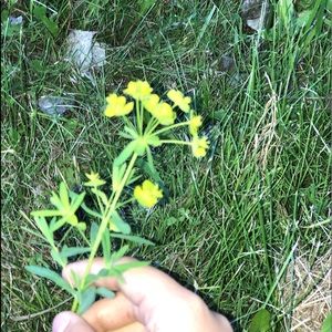 Meet your Posher, Jocelyn